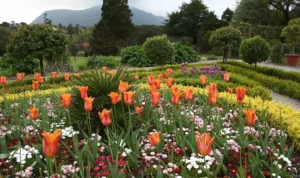 Tempat Wisata yang Sedang Hits di Cianjur, Sangat Cocok Sekali untuk Healing!