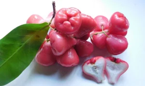 Manfaat Buah Jambu Air untuk Kesehatan dan Kecantikan