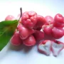 Manfaat Buah Jambu Air untuk Kesehatan dan Kecantikan