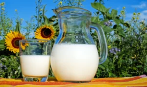 40 Daftar Jawaban Teka-Teki MPLS Tentang Minuman! Ada Air Bilangan “2,3,5” Hingga Wafer Seduh 40 Daftar Jawaban Teka-Teki MPLS Tentang Minuman!