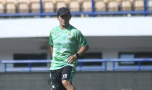 Yaya Sunarya Persib