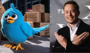 Twitter Menghilangkan Logo Burung Biru dengan X, Ada Apa dengan Elon Musk??