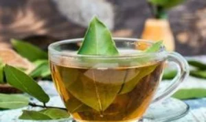7 Rebusan Daun untuk Lawan Tekanan Darah Tinggi Rebusan Daun Ajaib untuk Lawan Tekanan Darah Tinggi, Jantung Sehat Tanpa Obat!