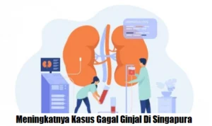 Meningkatnya Kasus Gagal Ginjal Di Singapura Yang Naik Signifikan