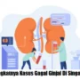 Meningkatnya Kasus Gagal Ginjal Di Singapura Yang Naik Signifikan