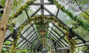 5 Rekomendasi Tempat Ngopi di Bandung dengan Nuansa Alam