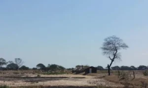 OCHA Calls for Urgent Humanitarian Funds to Help Somalia