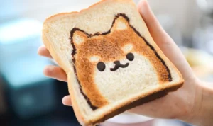 Ilustrasi Kunci Jawaban Teka Teki MPLS, Ada Roti Ketawa hingga Telepon Khas China/ Pexels/ Cats Coming