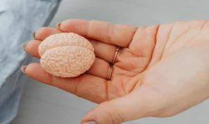 Studi: Perubahan Iklim Sebabkan Penyusutan Otak Manusia Ilustrasi Penyusutan Otak/Foto: Pexels (Karolina Grabowska)