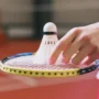 World Badminton Day, Celebrating the Sport of Speed and Skill