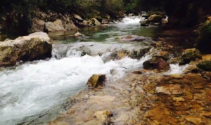 Hari Sungai Nasional, Memahami Pentingnya Sumber Air yang Berkelanjutan