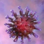 gambaran virus