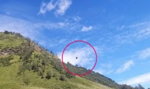 Viral! UFO di Gunung Bromo Gemparkan Wisatawan