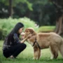 Gara-gara Pelihara Anjing, Warga di Bogor Cekcok Viral di Media Sosial, Ini Kronologinya
