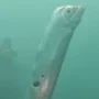 Fakta Ikan Oarfish yang Lagi Viral karena Disebut 'Ikan Kiamat'