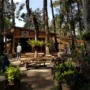 Yuk Coba 3 Rekomendasi Tempat Ngopi di Bandung yang Lagi Viral