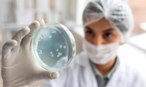 Korea Selatan Temukan Kasus Flu Burung pada 2 Kucing di Penampungan