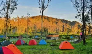 Rekomendasi Tempat Wisata Camping di Bandung, Tempat Healing yang Sempurna!