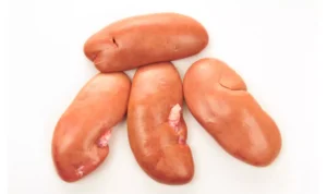 Para peneliti dan ahli bedah di NYU Langone Health telah berhasil melakukan cangkok ginjal babi ke manusia dalam sebuah penelitian terobosan.