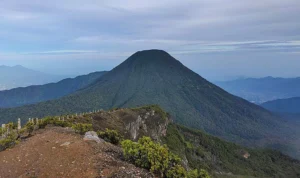 Belasan Pendaki Ilegal di Gunung Pangrango di Amankan oleh Petugas Belasan Pendaki Ilegal di Gunung Pangrango di Amankan oleh Petugas