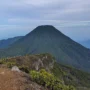 Belasan Pendaki Ilegal di Gunung Pangrango di Amankan oleh Petugas
