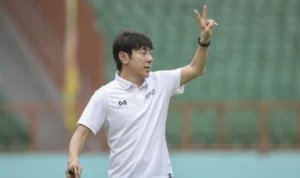 Pelatih Timnas Indonesia, Shin Tae-Yong