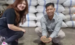 Nilai Ekspor Non-Migas Provinsi Lampung ke ASEAN Terhitung 50,38 Juta Dolar AS Nilai Ekspor Non-Migas Provinsi Lampung ke ASEAN Terhitung 50,38 Juta Dolar AS