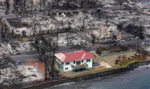 Penampakan rumah beratap merah yang tetap utuh ditengah kebakaran hebat yang terjadi di Maui Hawai. (via Gulf Today)