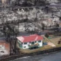 Penampakan rumah beratap merah yang tetap utuh ditengah kebakaran hebat yang terjadi di Maui Hawai. (via Gulf Today)
