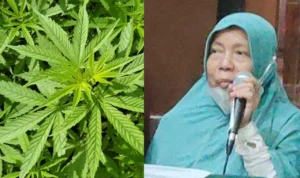 Viral Nenek Asfiyatun Divonis 5 Tahun Penjara Akibat Ulah Anaknya!