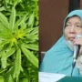 Viral Nenek Asfiyatun Divonis 5 Tahun Penjara Akibat Ulah Anaknya!