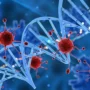 Varian Virus COVID BA.2.86 yang Bermutasi Tinggi Muncul di Banyak Negara
