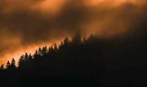 5 Kebakaran Hutan Paling Mematikan yang Terjadi di Amerika Serikat
