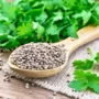 Bukan Sekedar Bumbu, Ternyata Ketumbar Bisa Sembuhkan Darah Tinggi, Begini Caranya Ilustrasi Manfaat Ketumbar untuk sembuhkan darah tinggi. (freepik)