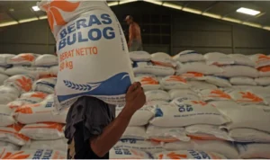 Sejumlah Wilayah Terkena El Nino, Distribusi Pangan Kota Bandung Tetap Aman Ilustrasi: Stok beras Kota Bandung.