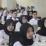 Jadwal terbaru cpns dan pppk 2023