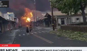 Gubernur Hawaii, Josh Green, mengumumkan pada Kamis malam bahwa jumlah korban tewas dalam kebakaran hutan yang mengerikan di Lahaina, Pulau Maui, Amerika Serikat, terus bertambah. Pernyataan resmi tersebut menyatakan bahwa 53 orang telah kehilangan nyawa akibat amukan kobaran api yang masih terus berkobar. (ANTARA)