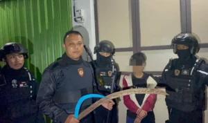 Enam remaja di Sukabumi, Jawa Barat diamankan oleh Polres Sukabumi Kota lantaran kedapatan bawa sajam dan stik golf.