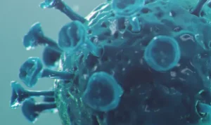 Varian Virus Baru Pirola COVID-19 Berikut Gejala yang Harus di Waspadai!
