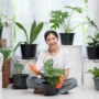 Kreasi Cantik, 9 Tips Menanam Tanaman Hias di Dalam Kamar
