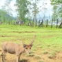 Bebas Polusi, Ini 5 Tempat Wisata Alam di Bandung yang Memberikan Udara Sejuk