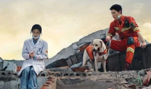 Akhir Drama China Fireworks of My Heart, Apakah Happy Ending? Akhir Drama Fireworks of My Heart, Apakah Happy Ending?/ IMDb