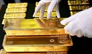 Gold Slumps After Fitch Cuts US Government Credit Rating Gold Slumps After Fitch Cuts US Government Credit Rating