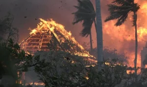 Kebakaran Hawaii