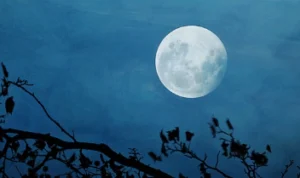 Fakta Menarik Fenomena Blue Supermoon