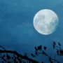 Fakta Menarik Fenomena Blue Supermoon