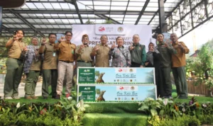 Kementrian Lingkungan Hidup dan Kehutanan (KLHK) berangkatkan enam individu satwa liar Biawak Komodo (Varanus komodoensis) dari lembaga Konservasi Taman Safari Indonesia Bogor, Jawa Barat untuk dikembalikan ke Habitat aslinya.