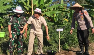 Pemkab Lombok Lakukan Penghijauan Hutan Desa Lantan, Tanam 1.500 Bibit Pohon Pemkab Lombok Lakukan Penghijauan Hutan Desa Lantan