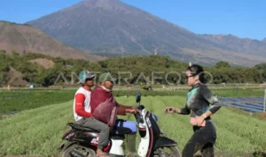 Berlibur ke NTB, Band Stars & Rabbit Kagum Melihat Keindahan Alam Lombok