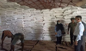 Stok Pupuk Subsidi Kabupaten Gunungkidul DIY Aman Stok Pupuk Subsidi Kabupaten Gunungkidul DIY Aman